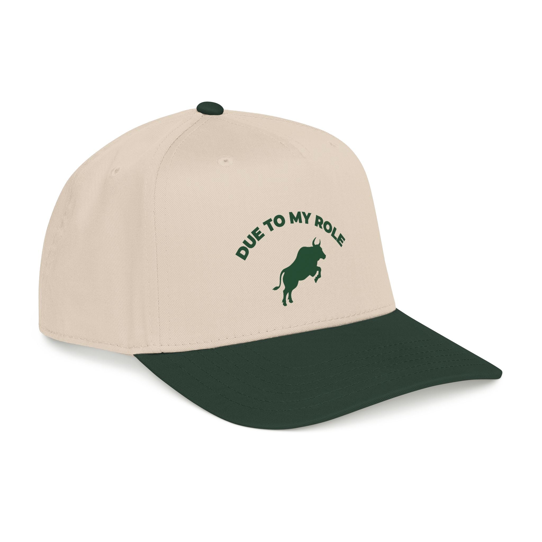 Due To My Role Snapback