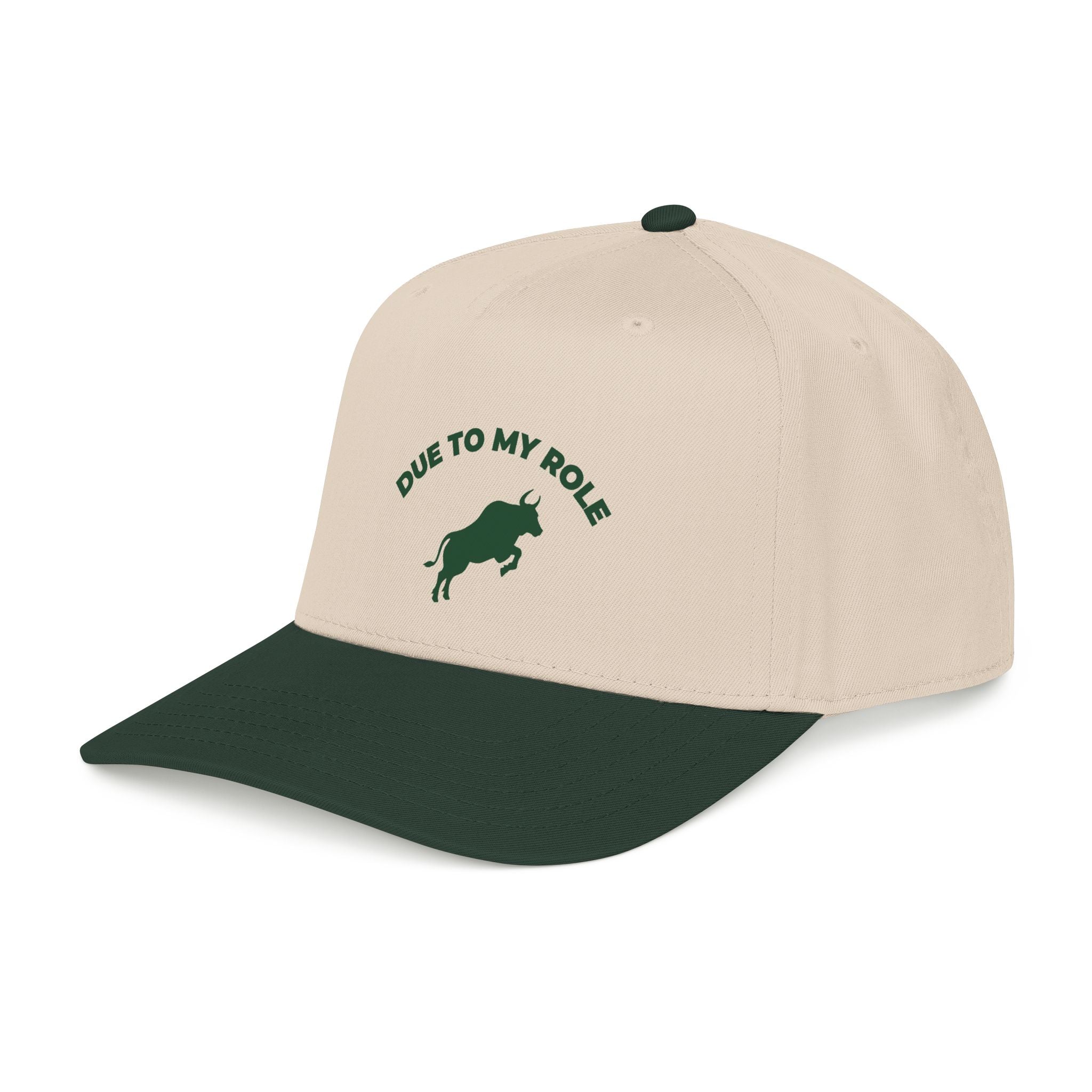 Due To My Role Snapback