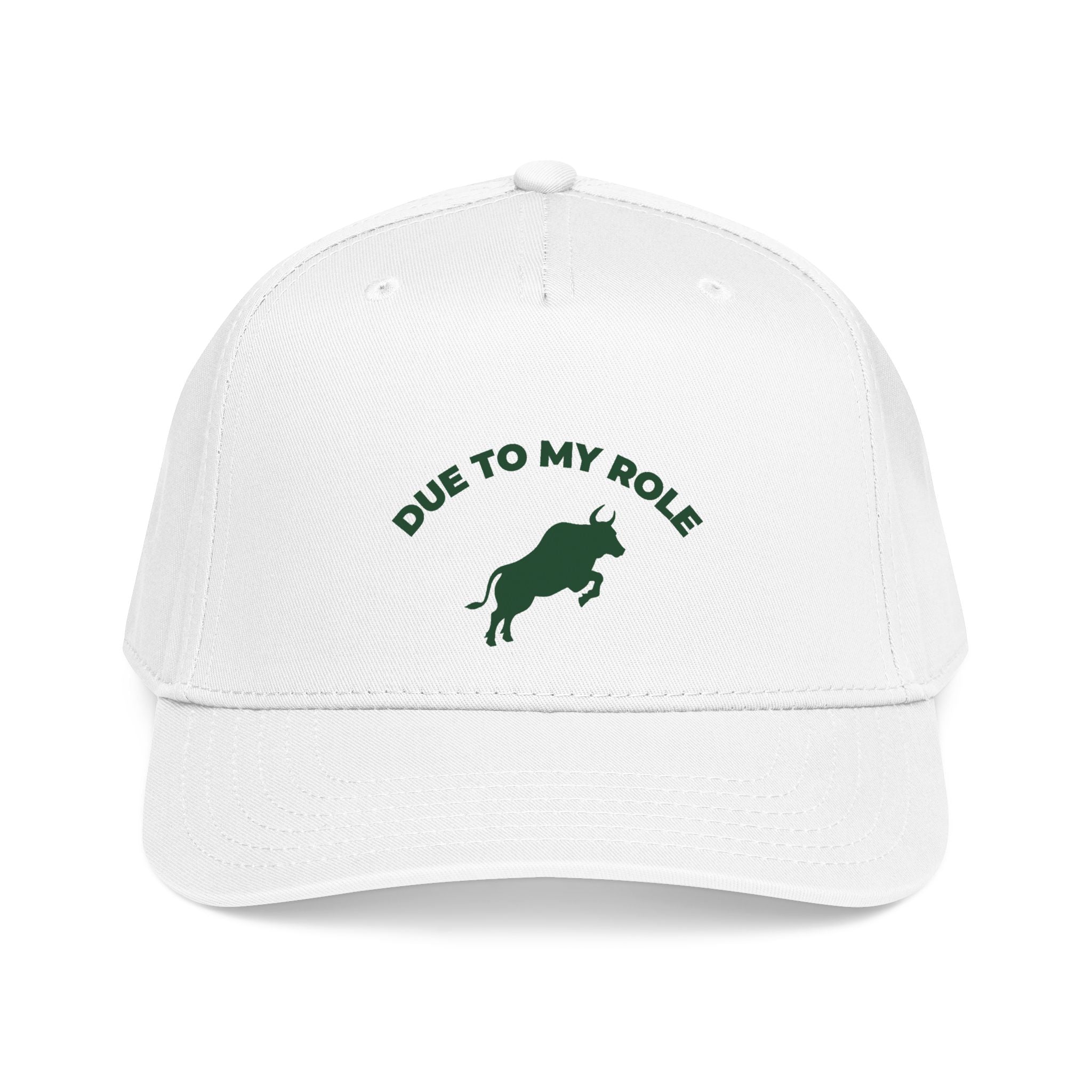 Due To My Role Snapback