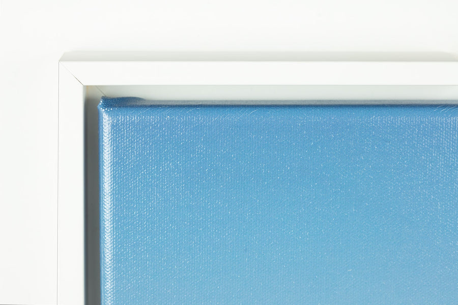 Framed Canvas